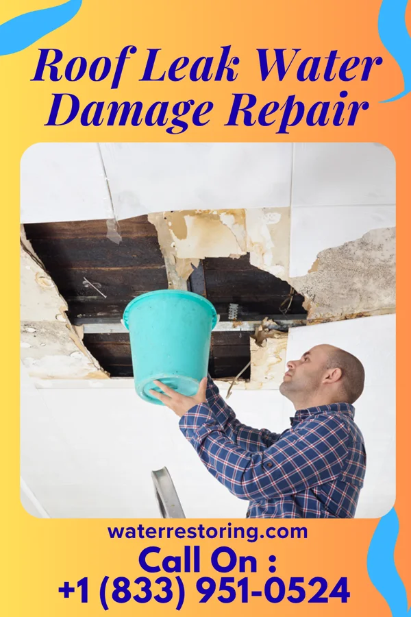 Roof Leak Water Damage Repair in Dalton, NE