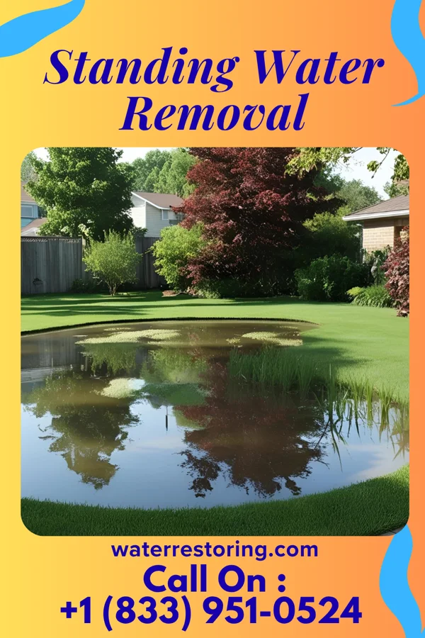 Standing Water Removal in Dalton, NE